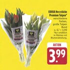 Premium Tulpen im Angebot bei E center in Hof Premium Tulpen Angebote von EDEKA Herzstücke bei E center Hof für 3,99 €