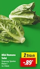 Aktuelles Mini Romana Salat Angebot bei Lidl in Duisburg ab 0,89 €