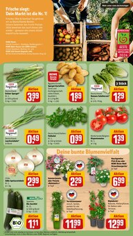 Gemüse im REWE Prospekt "Dein Markt" mit 30 Seiten (Reutlingen)