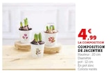 Composition de jacinthe dans le catalogue U Express