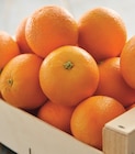 Promo Orange a jus et/ou a dessert à 3,19 € dans le catalogue Intermarché Contact à Plouay