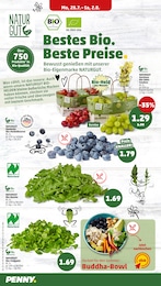 Bio Heidelbeeren Angebot & Preis im aktuellen Penny Prospekt Bio Heidelbeeren Angebot im aktuellen Penny Prospekt auf Seite 4