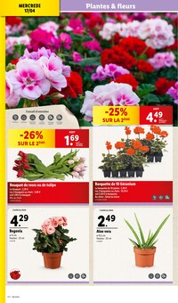 Promo Bouquet De Tulipes dans le catalogue Lidl du moment à la page 28