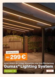 Aktueller Tuinmaximaal Prospekt mit LED-Lampe, "Terrassenüberdachungen mit Bestpreisgarantie", Seite 12