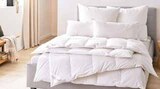 Aktuelle Kopfkissen Angebote bei Segmüller in Darmstadt Aktuelles Ganzjahresbett Angebot bei Segmüller in Darmstadt ab 29,99 €