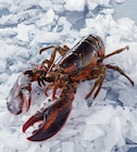 HOMARD EUROPÉEN VIVANT - SANS MARQUE - Auchan Hypermarché à Périgueux HOMARD EUROPÉEN VIVANT - SANS MARQUE en promo chez Auchan Hypermarché Périgueux à 29,99 €
