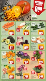 Pampelmuse Angebot & Preis im aktuellen REWE Prospekt Pampelmuse Angebot im aktuellen REWE Prospekt auf Seite 7