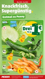 Aktueller Penny Prospekt mit Zucchini, "Wer günstig will, muss Penny.", Seite 2