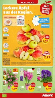 Tulpen im Penny Prospekt "Wer günstig will, muss Penny." mit 46 Seiten (Lübeck)