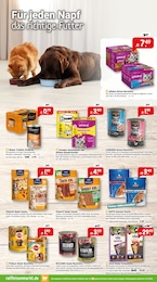 Katzenfutter Angebot im aktuellen Raiffeisenmarkt Prospekt auf Seite 7
