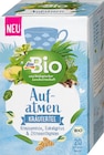 Kräutertee "Aufatmen" mit Krauseminze, Eukalyptus & Zitronenthymian (20 Beutel) bei dm-drogerie markt im Ehingen Prospekt für 1,95 €