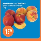 Angebot im V-Markt Marktoberdorf Prospekt V-Markt Marktoberdorf Prospekt mit im Angebot für 1,79 €