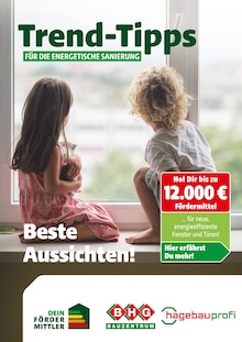 Danhauser Prospekt Trend-Tipps für die energetische Sanierung mit  Seiten in Bad Berneck (Fichtelgebirge) und Umgebung