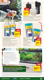 Aquarium im Fressnapf Prospekt Aquarium im Fressnapf Prospekt "Festliche Angebote" auf Seite 19