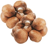 Champignons braun im Angebot bei REWE in Stuttgart Champignons braun Angebote von REWE Regional bei REWE Stuttgart für 1,79 €
