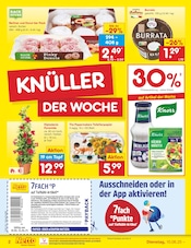 Pflanzen im Netto Marken-Discount Prospekt in Mannheim Aktueller Netto Marken-Discount Prospekt mit Pflanzen, "Aktuelle Angebote", Seite 2