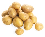 Bio Speisekartoffeln von REWE Bio für 1,79 € bei REWE im Angebot Bio Speisekartoffeln von REWE Bio im aktuellen REWE Prospekt
