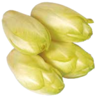 Chicorée im EDEKA Prospekt Chicorée von im aktuellen EDEKA Prospekt für 1,59 €