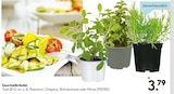 Aktuelle Rosmarin Angebote bei Hellweg in Hamm Aktuelles GourmetkrĂ€uter Angebot bei Hellweg in Hamm ab 3,79 âŹ