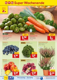 Netto Marken-Discount Zwiebeln im Prospekt 