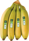 Basilikum im Angebot bei EDEKA in Neumünster Basilikum Angebote von EDEKA Bio bei EDEKA Neumünster für 1,49 €