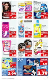 Farbe im Kaufland Prospekt in Bad Oeynhausen Aktueller Kaufland Prospekt mit Farbe, "Aktuelle Angebote", Seite 29