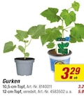 Angebot im toom Baumarkt Vielbach Prospekt toom Baumarkt Vielbach Prospekt mit im Angebot für 3,29 €