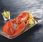 Homard européen en promo chez Bi1 Melun à 37,99 €