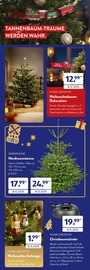 Aktueller ALDI SÜD Prospekt mit Weihnachtsbaumständer, "FÜR ALLE EIN FEST", Seite 2
