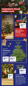 Weihnachtsbaumständer Angebot im aktuellen ALDI SÜD Prospekt auf Seite 2