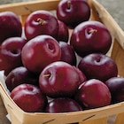 Intermarché Super Céret - Promo Prune Rouge Promo Prune Rouge à 2,69 € dans le catalogue Intermarché Super à Céret