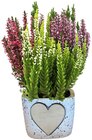 Besenheide »Love« Angebote bei REWE Kaufbeuren für 3,99 €