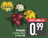 Primeln  im aktuellen EDEKA Prospekt für 0,99 €