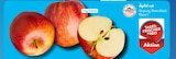 Äpfel rot bei ALDI SÜD im Prospekt "" für 