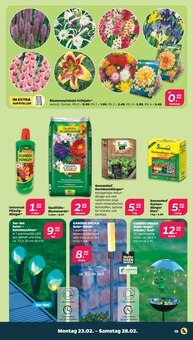 Vogelkäfig im Netto mit dem Scottie Prospekt "Günstig. Besser. Für Dich." mit 42 Seiten (Potsdam)