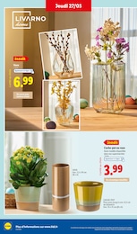 Offre Décoration Intérieure dans le catalogue Lidl du moment à la page 24