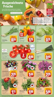 Salat im aktuellen REWE Prospekt (Nürnberg) Salat im REWE Prospekt "Dein Markt" mit 28 Seiten (Nürnberg)