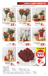 Offre Plantes dans le catalogue Super U du moment à la page 25