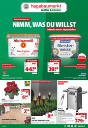 Hagebaumarkt Prospekt für Hamburg mit 8 Seiten Hagebaumarkt Prospekt für Hamburg: "NIMM, WAS DU WILLST", 8 Seiten, 02.07.2022 - 08.07.2022