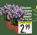 Aktuelles Glockenblume Dolc Amore Angebot bei EDEKA in München ab 2,99 €
