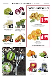 Aktueller Hieber Prospekt mit Kochtopf, "Aktuelle Angebote", Seite 11