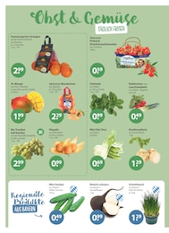 V-Markt Kräuter im Prospekt 