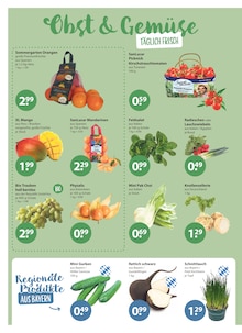 Tomaten im V-Markt Prospekt "V-Markt einfach besser einkaufen" mit 22 Seiten (München)