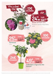 Hortensia Angebote im Prospekt "FÊTE DES MÈRES À PRIX TOUT DOUX" von Botanic Hortensia Angebote im Prospekt "FÊTE DES MÈRES À PRIX TOUT DOUX" von Botanic auf Seite 4