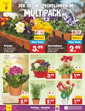 Pflanzen im Netto Marken-Discount Prospekt in Wolfsburg Aktueller Netto Marken-Discount Prospekt mit Pflanzen, "Aktuelle Angebote", Seite 6