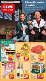 Aktueller REWE Discounter Prospekt in Edlau und Umgebung, "Dein Markt" mit 30 Seiten, 19.05.2025 - 24.05.2025