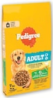 Croquettes pour chien adulte - Pedigree en promo chez U Express Pau à 10,61 €