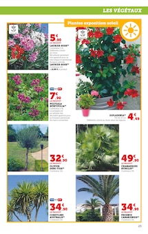 Promo Dipladenia dans le catalogue Hyper U du moment à la page 25