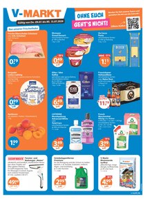 V-Markt Prospekt der aktuellen Woche, gültig von 09.07.2026 bis 15.07.2026 Aktueller V-Markt Prospekt "V-Markt einfach besser einkaufen" mit 17 Seiten