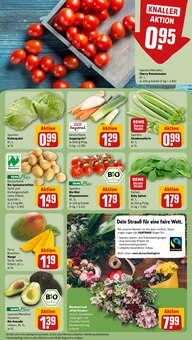 Tomaten im REWE Prospekt "Dein Markt" mit 33 Seiten (Bochum)